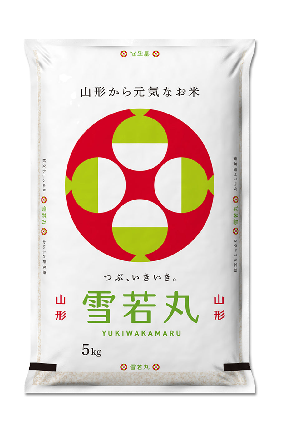 山形県産 雪若 令和7年産 白米 送料無料 大粒